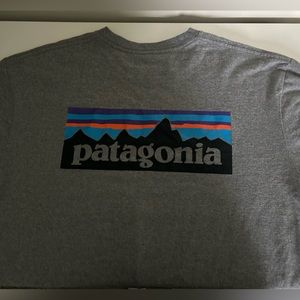 Short sleeve grey Patagonia shirt